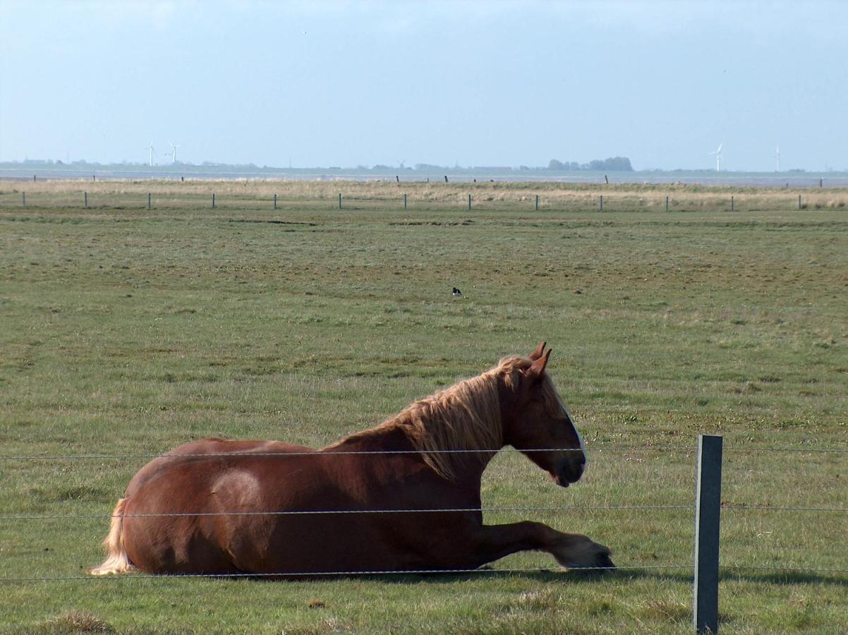 Seevilla Wietjes Whg 3 Baltrum Bagian luar foto
