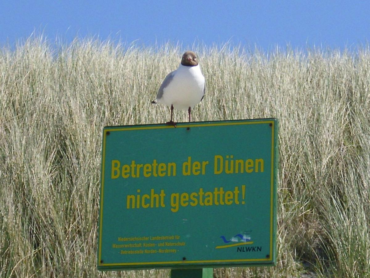 Seevilla Wietjes Whg 3 Baltrum Bagian luar foto
